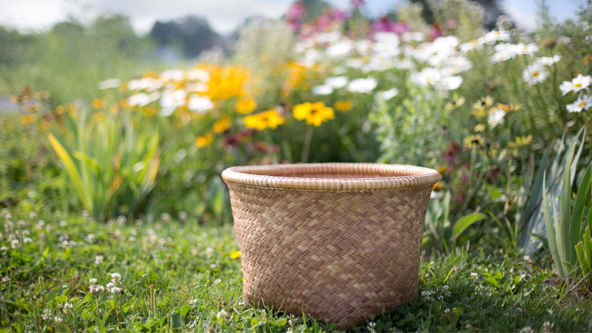 How To Clean Wicker Baskets