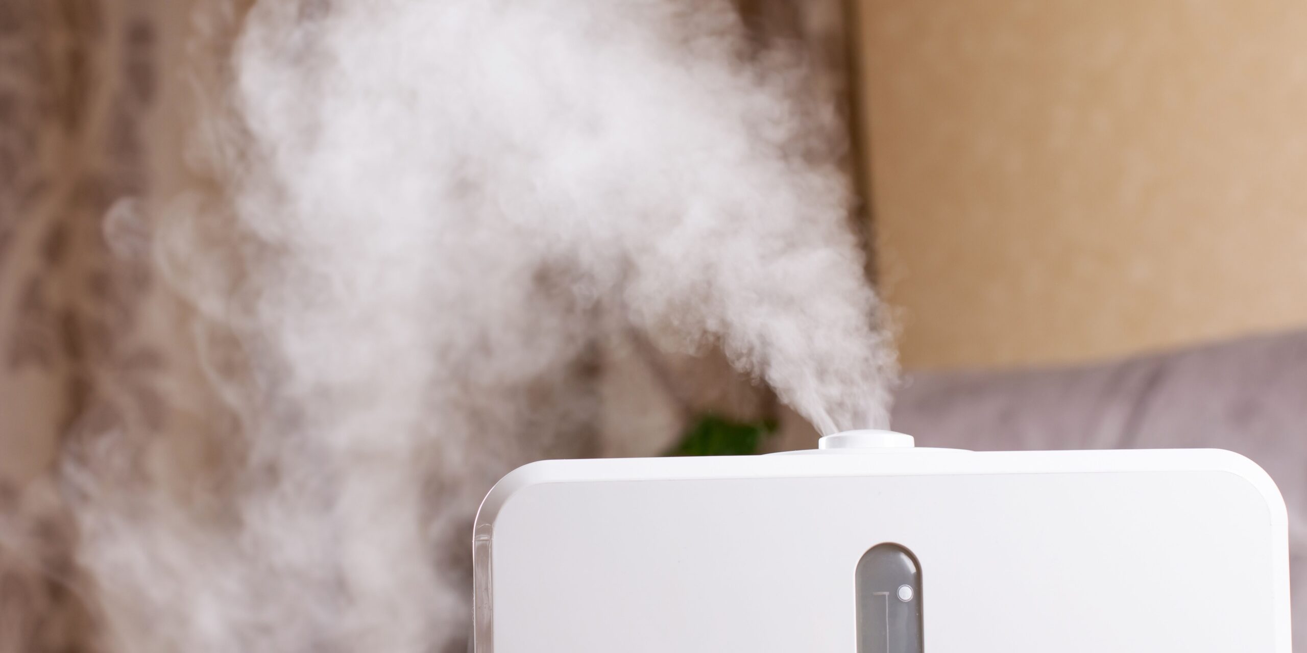 What Is the Ideal Indoor Humidity?