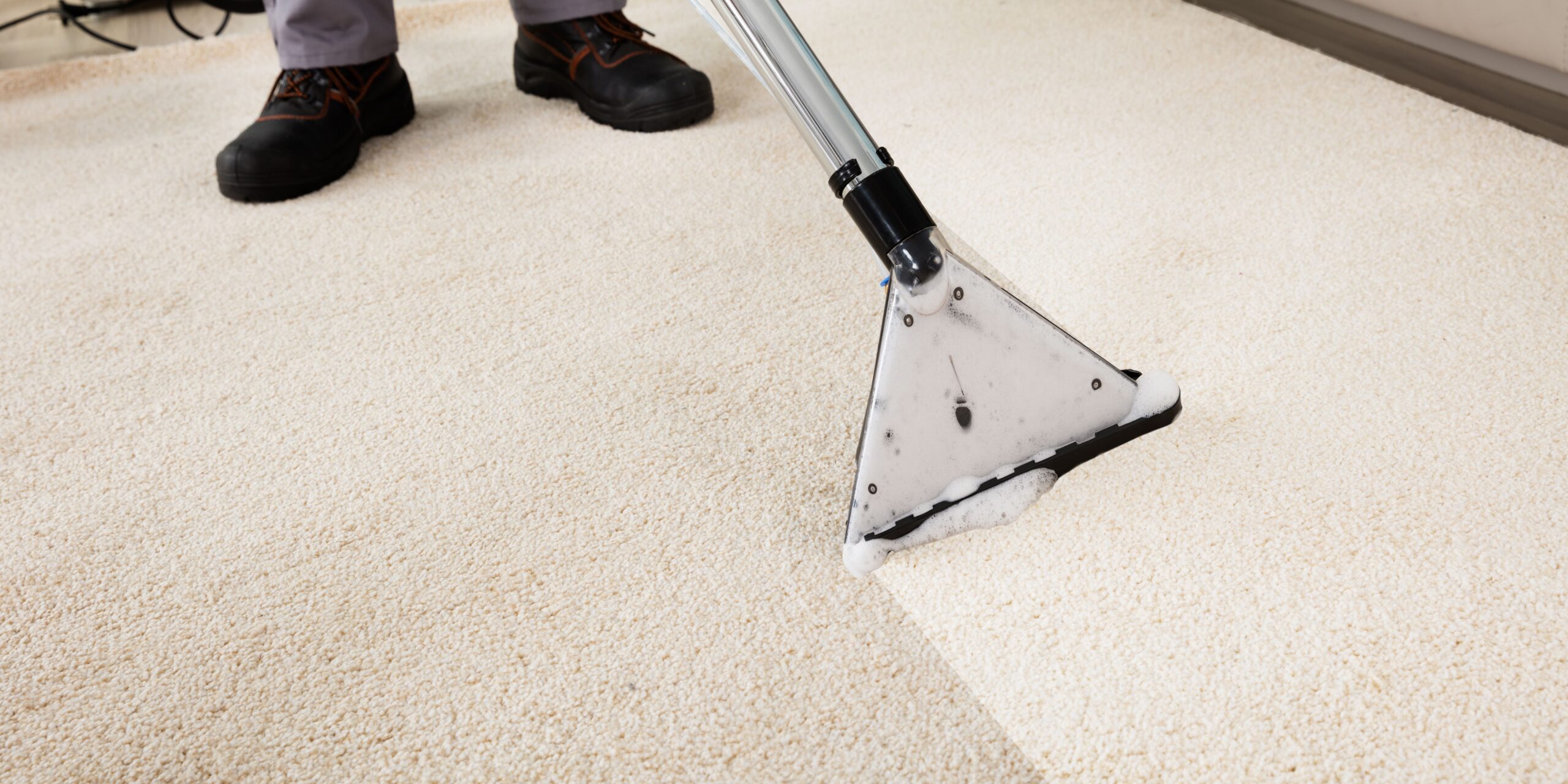 Ultimate Guide On How to Clean Carpet