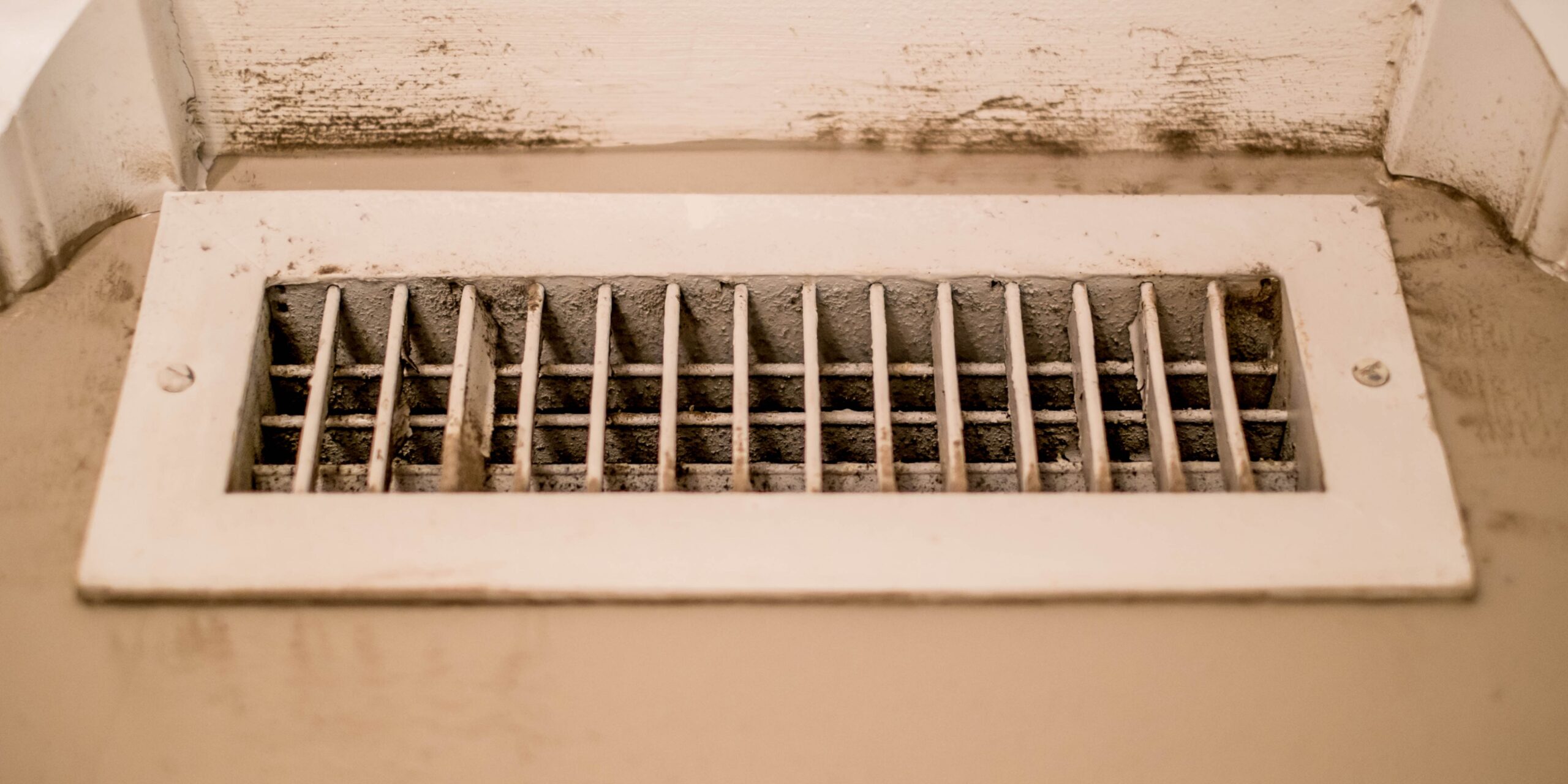 How to Remove Mold from Air Vents