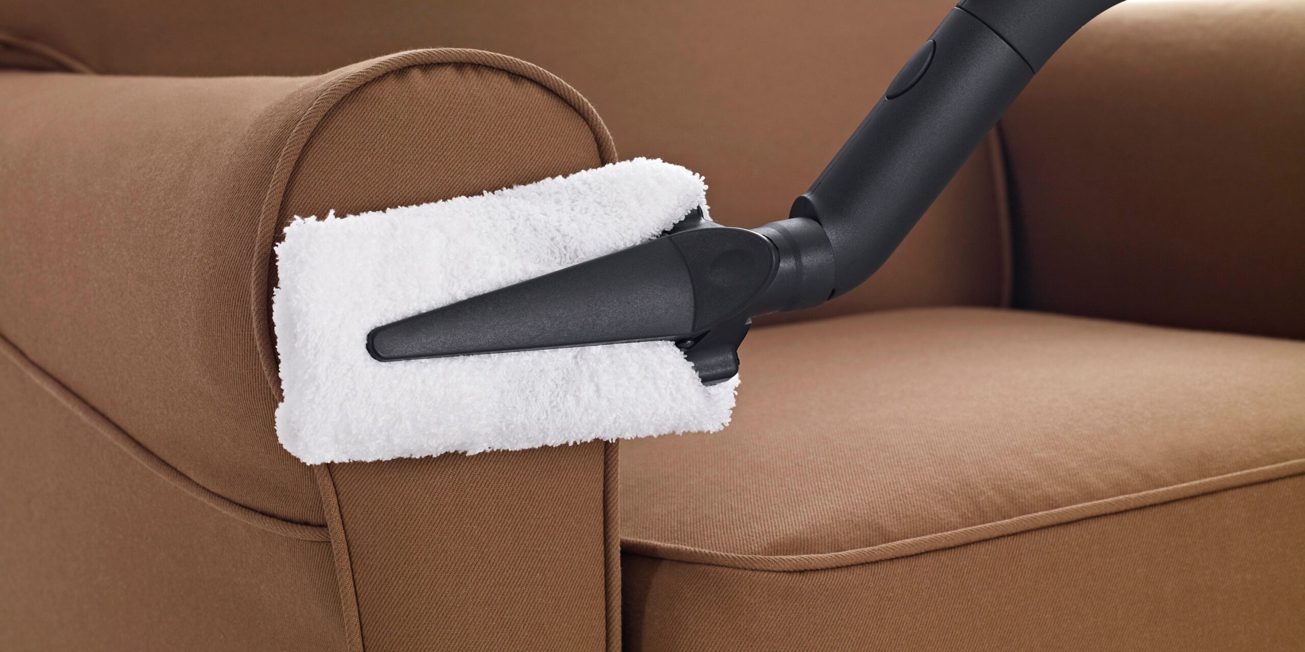 Best Steam Cleaners for Bed Bugs