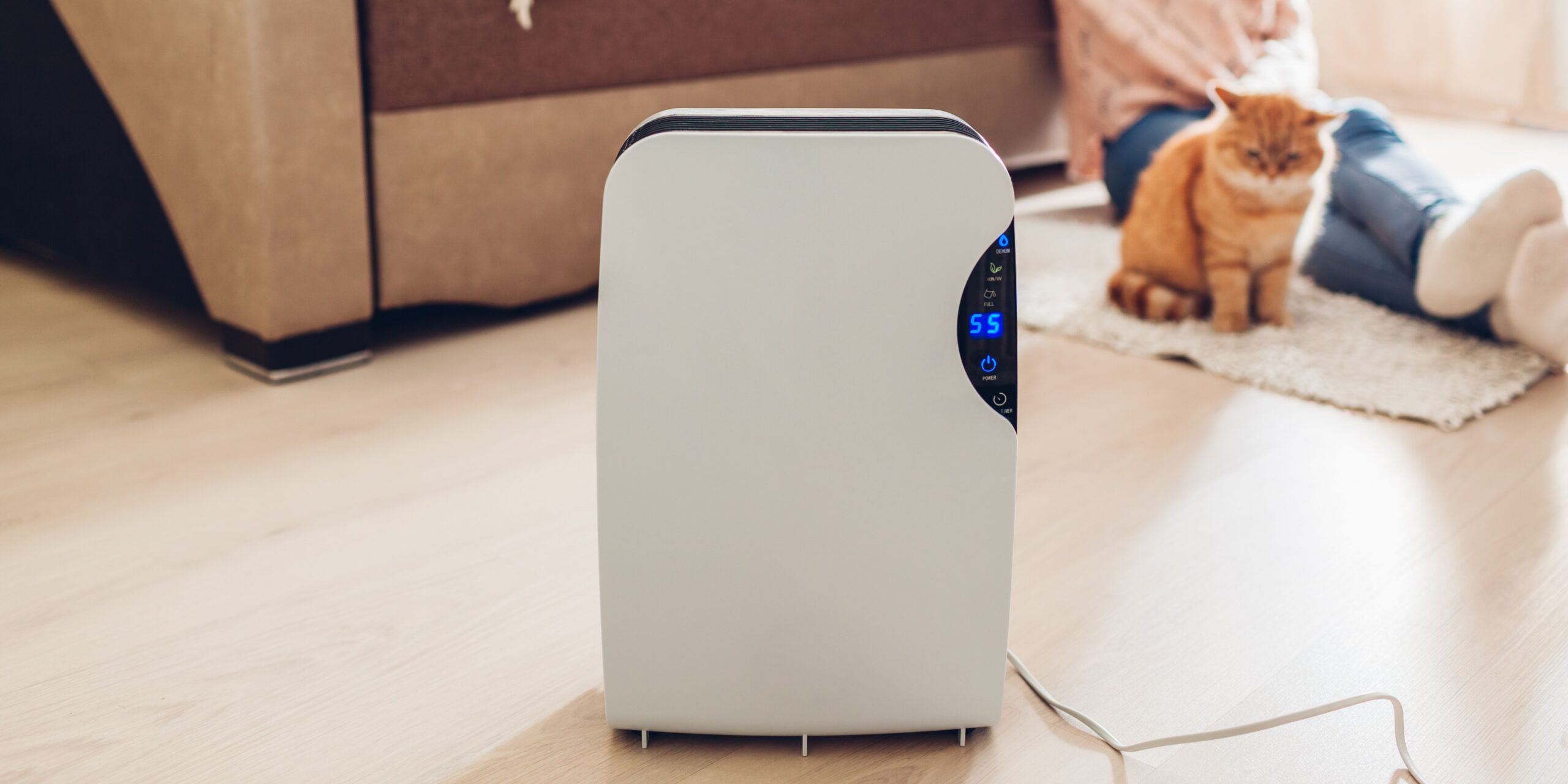 Best Whole House Air Purifiers