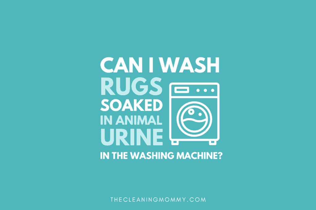 Can I wash rugs washing machine icon