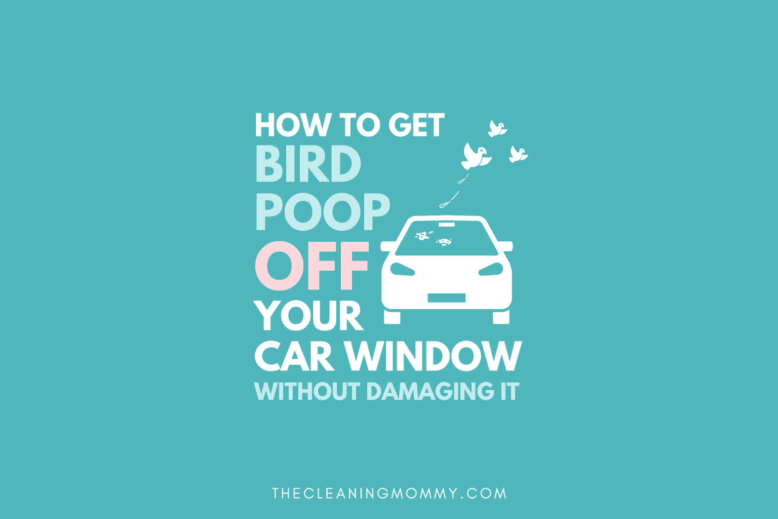 How To Clean Bird Poop Off Car Window