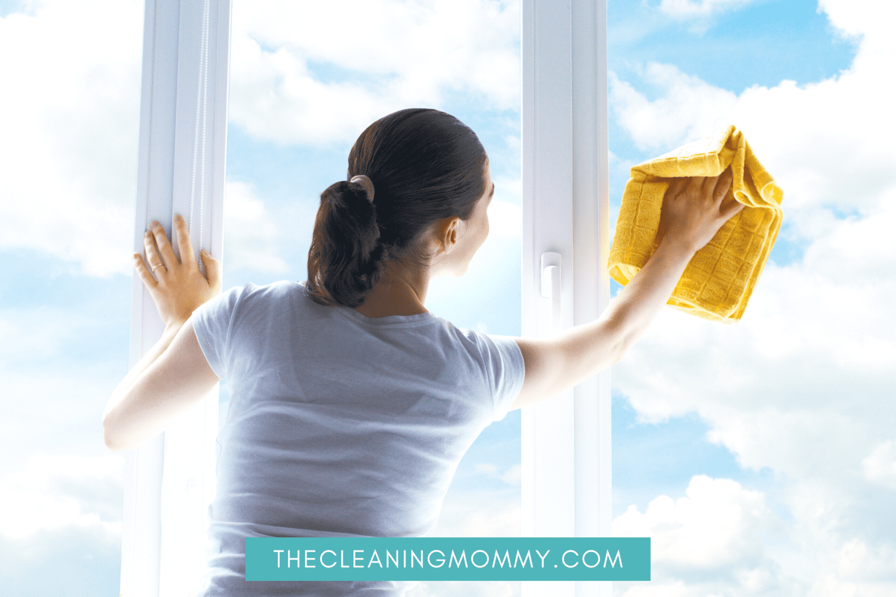 How to Clean Windows Without Windex (Step By Step Guide) The Cleaning
