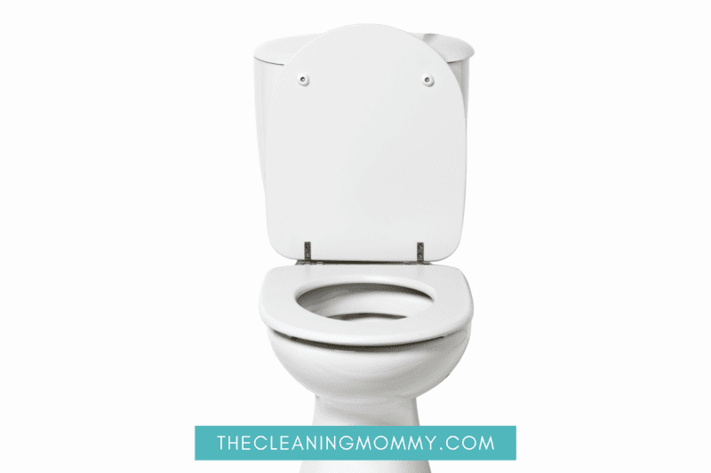 How To Clean Toilet Jets in 4 Simple Steps