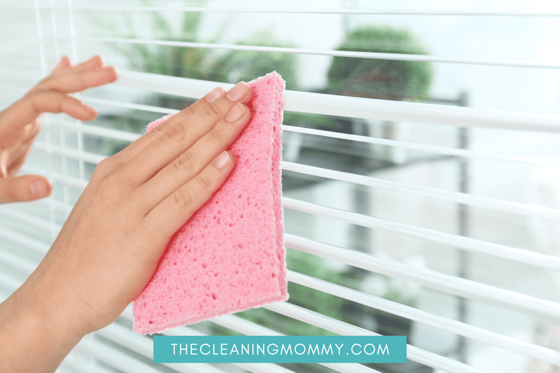 Woman dusting white blinds with pink microfiber cloth