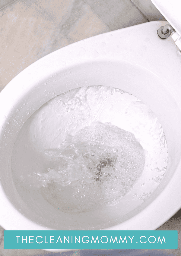 How To Clean Toilet Jets in 4 Simple Steps