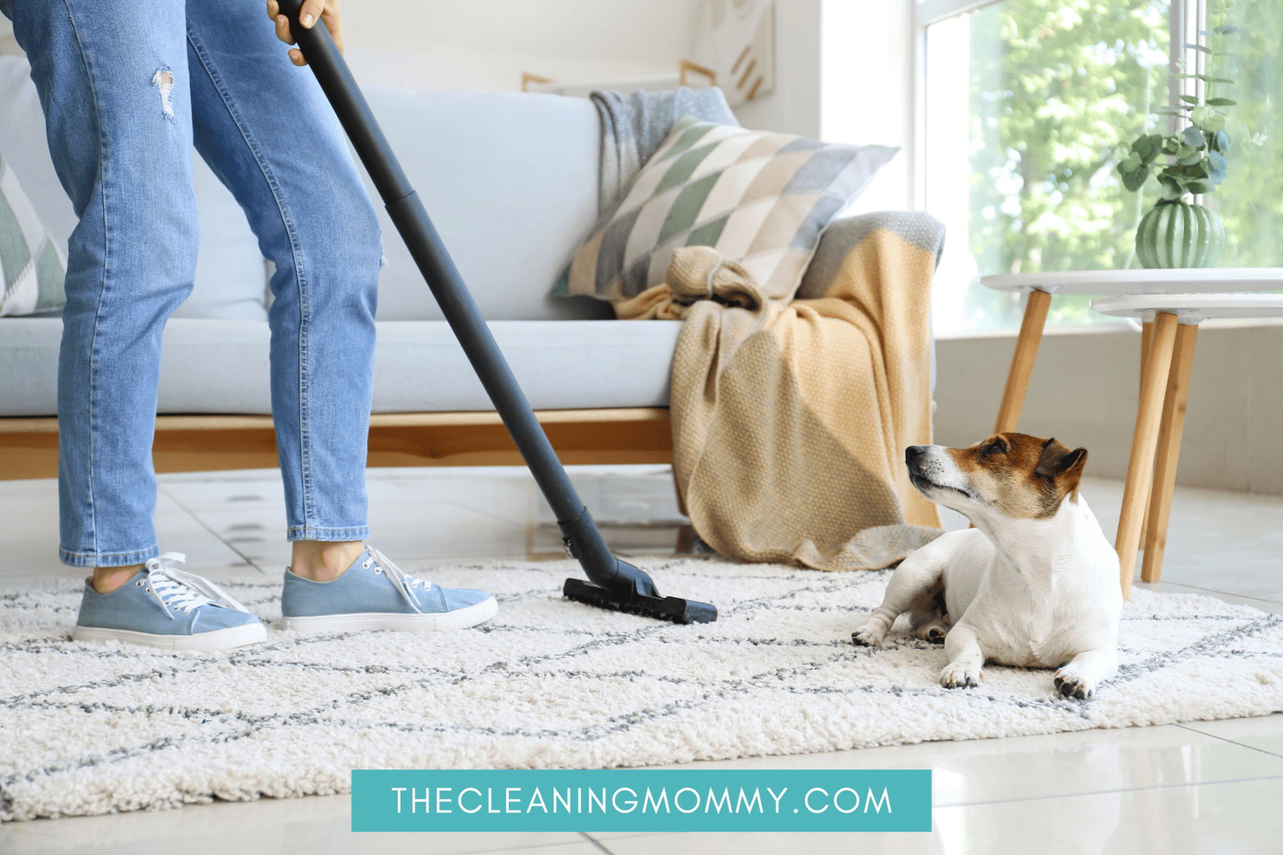 Woman cleaning area rug with dog sitting