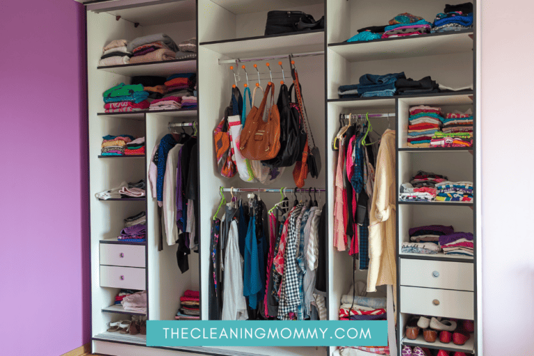 How to Get Rid of Musty Smell in Closet for Good! - The Cleaning Mommy