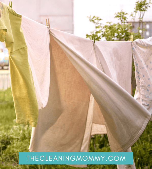 How to Get Musty Smell Out of Clothes (Without Washing!)