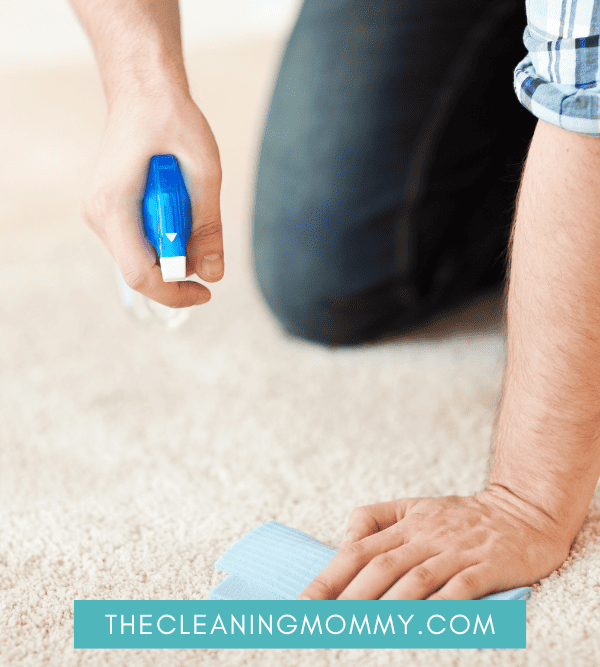 How to Get Bleach Out of Carpet: Best Carpet SOS Tips