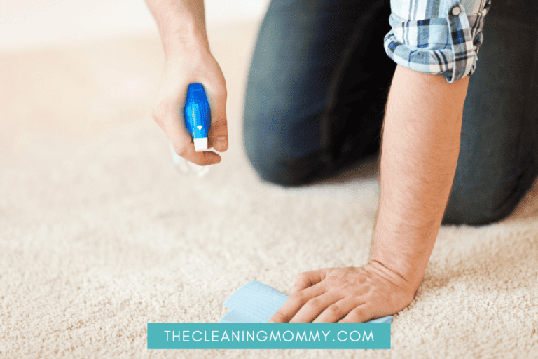 Someone on hands and feet trying to blog bleach stain in carpet