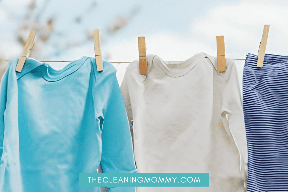 How to Get Mothball Smell Out of Clothes Easily The Cleaning Mommy